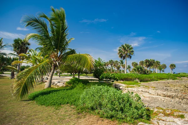 Rilassarsi sulla remota spiaggia tropicale Paradise in Repubblica Dominicana, Seychelles, Caraibi, Mauritius, Filippine, Bahamas . — Foto Stock