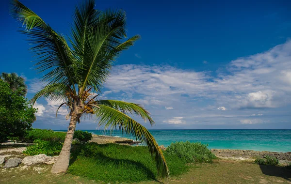 Relaks na zdalnym plaży tropikalnym raju w Dominikana, Seszele, Karaiby, Mauritius, Filipiny, Bahamy. — Zdjęcie stockowe