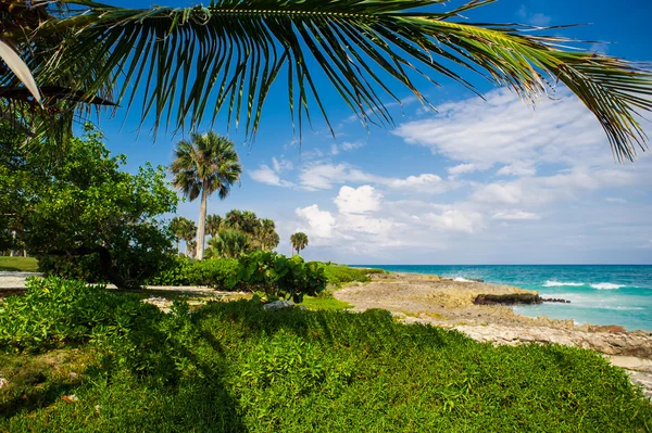 Rilassarsi sulla remota spiaggia tropicale Paradise in Repubblica Dominicana, Seychelles, Caraibi, Mauritius, Filippine, Bahamas . — Foto Stock