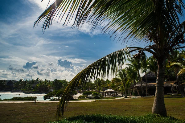 Entspannung am abgelegenen tropischen Paradiesstrand in der Dominikanischen Republik, Seychellen, Karibik, Mauritius, Philippinen, Bahamas. — Stockfoto