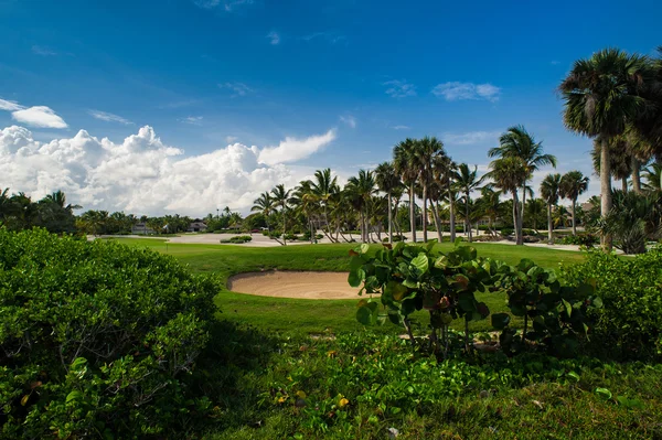 Campo de Golfe em Tropical Paradise. Férias de verão na República Dominicana — Fotografia de Stock