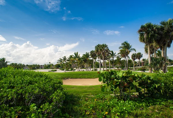 Campo da golf a Tropical Paradise. Vacanze estive nella Repubblica Dominicana — Foto Stock