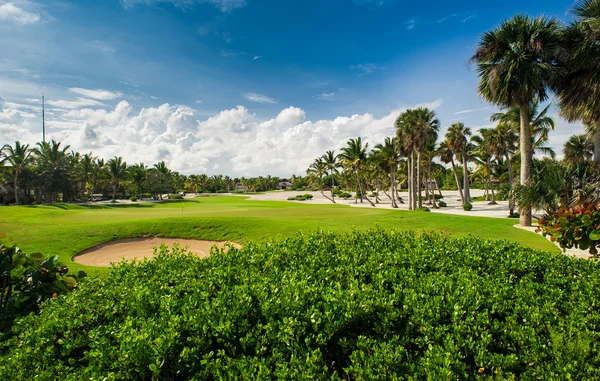 Campo de golf en Tropical Paradise. Vacaciones de verano en República Dominicana —  Fotos de Stock