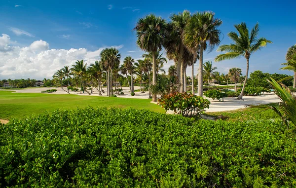 Campo de Golfe em Tropical Paradise. Férias de verão na República Dominicana — Fotografia de Stock