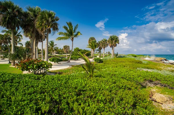 Golfplatz im tropischen Paradies. Sommerurlaub in der Dominikanischen Republik — Stockfoto