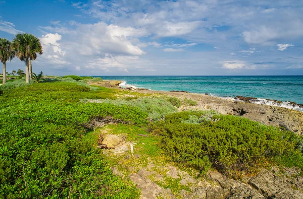 Campo da golf a Tropical Paradise. Vacanze estive nella Repubblica Dominicana — Foto Stock