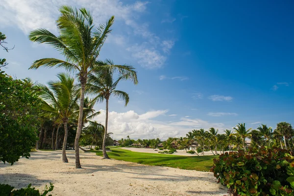 Rilassarsi sulla remota spiaggia tropicale Paradise in Repubblica Dominicana, Seychelles, Caraibi, Mauritius, Filippine, Bahamas . — Foto Stock