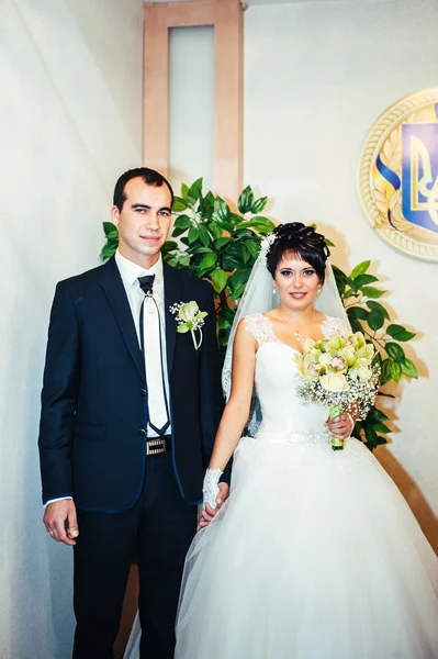 Ceremonia de boda en una oficina de registro, matrimonio — Foto de Stock