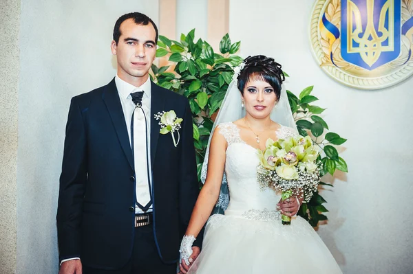 Bir kayıt defteri ofisinde, evlilik düğün töreni — Stok fotoğraf