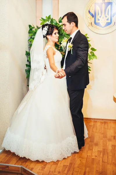 Cerimônia de casamento em um escritório de registro, casamento — Fotografia de Stock