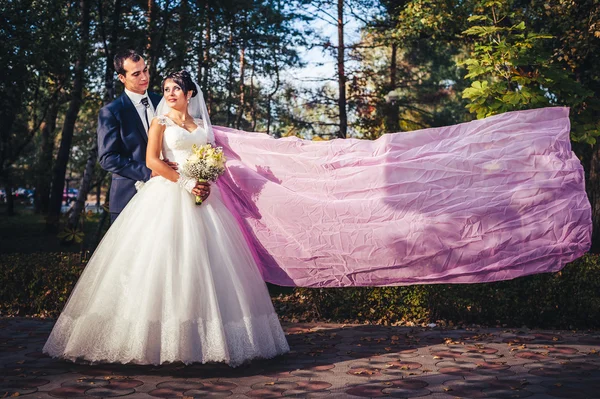 Nevěsta a ženich líbat pod dlouhý růžový závoj — Stock fotografie