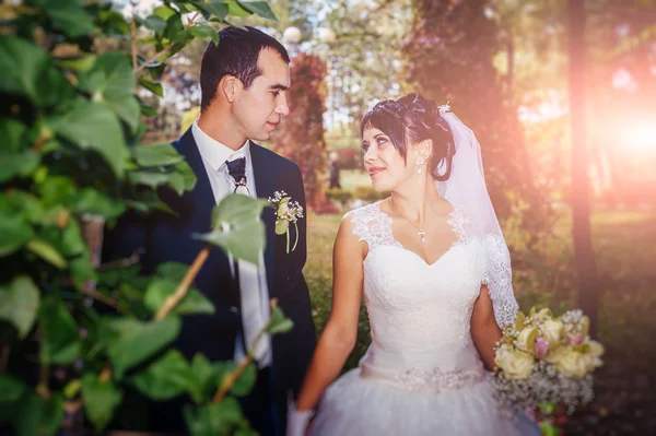 Young couple kissing in wedding gown. Bride holding bouquet of flowers — Stock Photo, Image