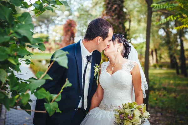 Young couple kissing in wedding gown. Bride holding bouquet of flowers — Stock Photo, Image