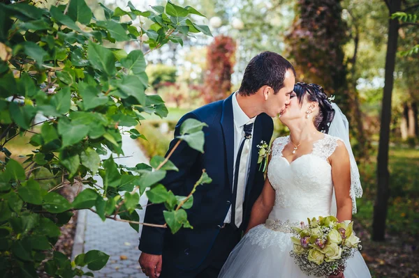 Young couple kissing in wedding gown. Bride holding bouquet of flowers — Stock Photo, Image