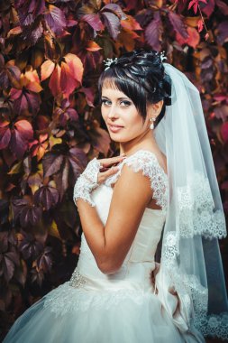 parlak buket elinde tutan güzel genç gelin portresi. düğün kutlama. doğa yeşil arka plan. açık havada parkta yalnız kadın