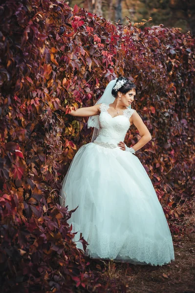 Retrato de bela noiva jovem segurando buquê brilhante em mãos. Celebração de casamento. natureza fundo verde. mulher sozinha ao ar livre no parque — Fotografia de Stock