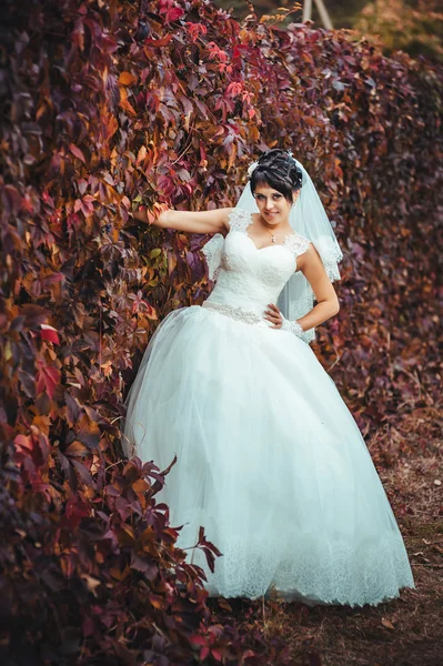 明るい花束を手で保持して美しい若い花嫁の肖像画。結婚式のお祝い。自然緑の背景。女性一人で公園で屋外 — ストック写真