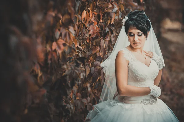 Retrato de hermosa novia joven sosteniendo ramo brillante en las manos. celebración de la boda. naturaleza fondo verde. mujer sola al aire libre en el parque — Foto de Stock