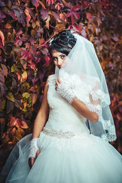 Retrato de bela noiva jovem segurando buquê brilhante em mãos. Celebração de casamento. natureza fundo verde. mulher sozinha ao ar livre no parque — Fotografia de Stock