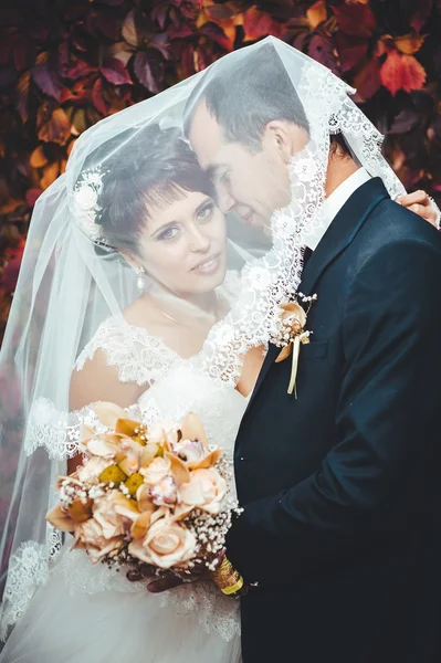 Young couple kissing in wedding gown. Bride holding bouquet of flowers — Stock Photo, Image