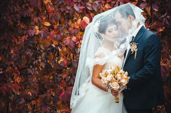 Young couple kissing in wedding gown. Bride holding bouquet of flowers — Stock Photo, Image