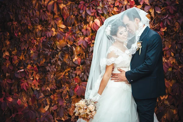 Young couple kissing in wedding gown. Bride holding bouquet of flowers — Stock Photo, Image