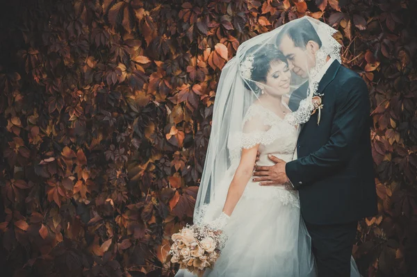 Pareja joven besándose en vestido de novia. Novia sosteniendo ramo de flores — Foto de Stock