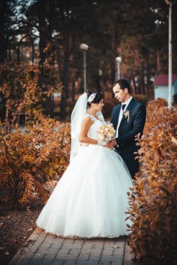 gelinlik içinde öpüşme genç bir çift. Gelin holding buket çiçek