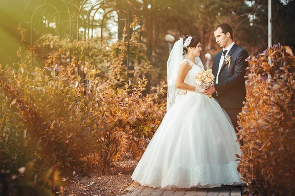 Pareja joven besándose en vestido de novia. Novia sosteniendo ramo de flores — Foto de Stock