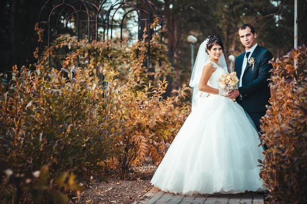 Jong koppel zoenen in trouwjurk. bruid bedrijf boeket van bloemen — Stockfoto