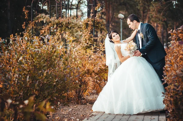 Casal jovem beijando no vestido de casamento. Noiva segurando buquê de flores — Fotografia de Stock