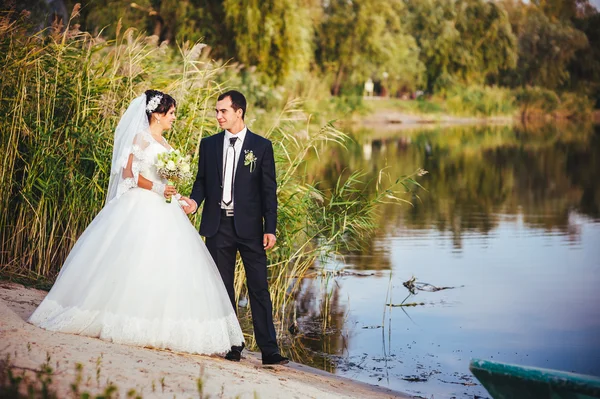 Boda: novia y novio en la orilla del mar . —  Fotos de Stock