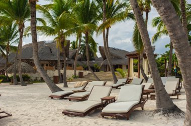 Tropikal Cennet 'teki Palm ve Tropikal plajlar. Dominik Cumhuriyeti, Seyşeller, Karayipler, Filipinler, Bahamalar 'da yaz tatili. Cennet kumsalında dinleniyorlar. Atlantik Okyanusunda Lüks Tatil Köyü.