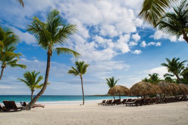 Tropikal Cennet 'teki Palm ve Tropikal plajlar. Dominik Cumhuriyeti, Seyşeller, Karayipler, Filipinler, Bahamalar 'da yaz tatili. Cennet kumsalında dinleniyorlar. Atlantik Okyanusunda Lüks Tatil Köyü.