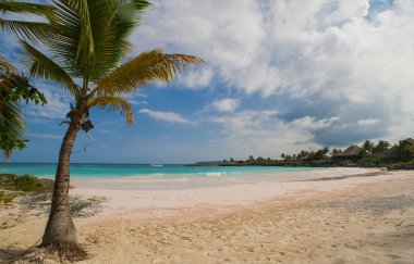 Tropikal Cennet 'teki Palm ve Tropikal plajlar. Dominik Cumhuriyeti, Seyşeller, Karayipler, Filipinler, Bahamalar 'da yaz tatili. Cennet kumsalında dinleniyorlar. Atlantik Okyanusunda Lüks Tatil Köyü.