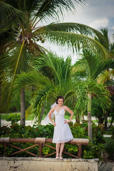 Ευτυχισμένη νύφη ωραία τα πόδια κοντά στην παραλία στο πράσινο γρασίδι κάτω από φοίνικες. Νεαρή γυναίκα στην Λευκή φόρεμα σε μια παραλία — Φωτογραφία Αρχείου