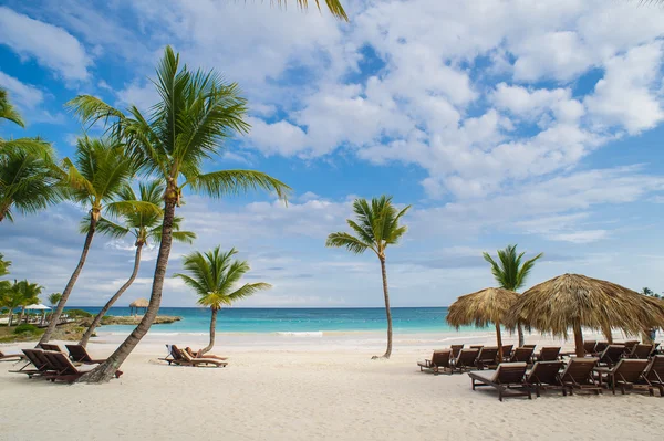 Pálma és trópusi strand a Trópusi Paradicsomban. Nyaralás a Dominikai Köztársaságban, Seychelle-szigetek, Karib-szigetek, Fülöp-szigetek, Bahama-szigetek. Pihenek a Paradicsom partján. Luxus üdülőhely az Atlanti óceánon. — Stock Fotó