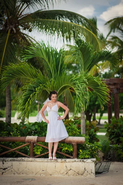 Šťastný pěkná nevěsta pěšky nedaleko pláže na zelené trávě pod palmami. Mladá žena v bílých šatech na pláži — Stock fotografie