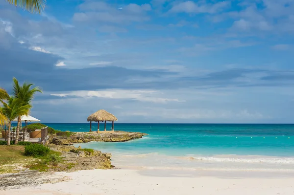 Palma y playa tropical en Tropical Paradise. Vacaciones de verano en República Dominicana, Seychelles, Caribe, Filipinas, Bahamas. Relajarse en la remota playa Paradise. Resort de lujo en el océano Atlántico . — Foto de Stock