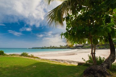 Tropikal Cennet 'teki Palm ve Tropikal plajlar. Dominik Cumhuriyeti, Seyşeller, Karayipler, Filipinler, Bahamalar 'da yaz tatili. Cennet kumsalında dinleniyorlar. Atlantik Okyanusunda Lüks Tatil Köyü.