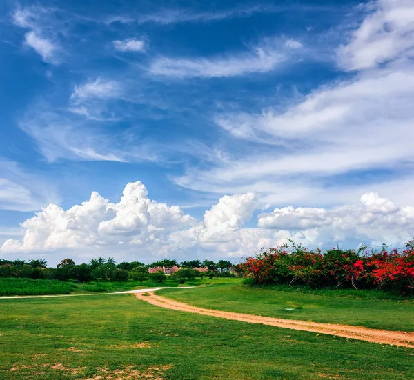 Landelijke weg in groen gras veld landschap met fantastische wolken in de achtergrond. Zomer landschap met groene gras, weg en wolken in Dominicaanse Republiek — Stockfoto