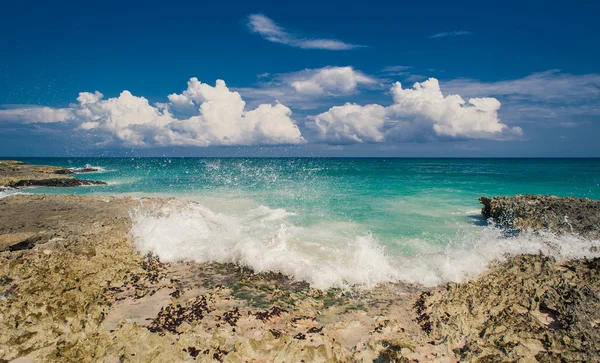 Dzikiej plaży. Dominikana. tropikalnej plaży piasek w Republice Dominikańskiej. spokojny ośrodek. Palmy na tropikalnej plaży, Morza Karaibskiego. plaża w zachód słońca na wyspie Seszeli — Zdjęcie stockowe