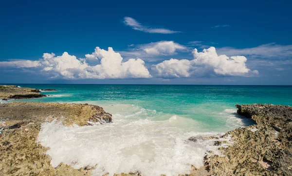 Дикий карибский пляж. Доминиканская республика. тропический песчаный пляж в Доминиканской республике. тихий курорт. Пальмы на пляже в Карибском море. пляж на закате солнца на острове Сейшельские острова — стоковое фото
