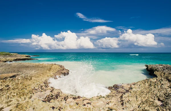 Wild Caribisch strand. Dominicaanse Republiek. tropisch strand, Dominicaanse Republiek. rustige resort. Palmbomen op de tropische strand, Caribische zee. strand op zonsondergang tijd op het eiland in Seychellen — Stockfoto