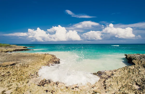 Άγρια παραλία της Καραϊβικής. Δομινικανή Δημοκρατία. τροπική παραλία άμμο στη Δομινικανή Δημοκρατία. ήσυχο θέρετρο. Φοίνικες στην τροπική παραλία, στη θάλασσα της Καραϊβικής. παραλία ηλιοβασίλεμα εγκαίρως στο νησί στις Σεϋχέλλες — Φωτογραφία Αρχείου