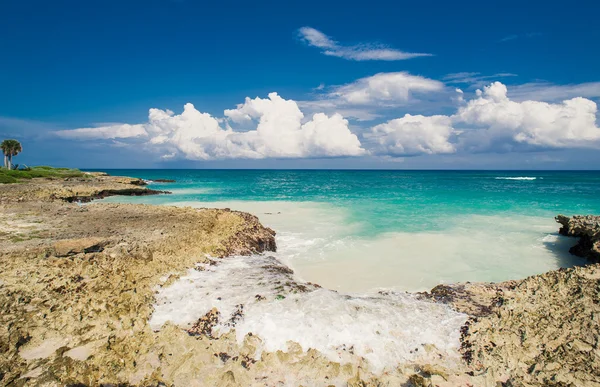 Wilder karibischer Strand. Dominikanische Republik. tropischer Sandstrand in der Dominikanischen Republik. beschaulicher Ferienort. Palmen am tropischen Strand, Karibik. Strand bei Sonnenuntergang auf einer Insel auf den Seychellen — Stockfoto