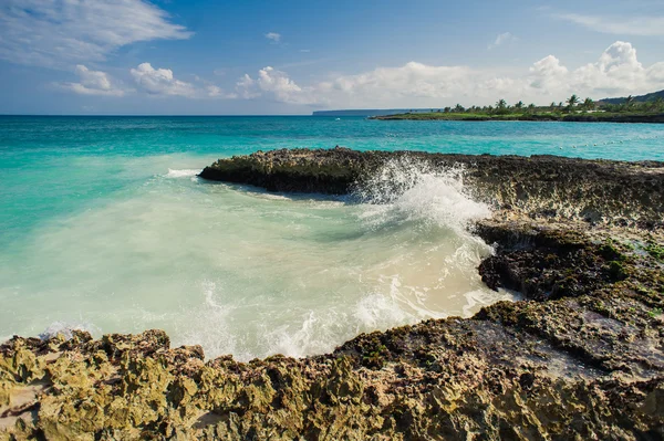 Wild Caribisch strand. Dominicaanse Republiek. tropisch strand, Dominicaanse Republiek. rustige resort. Palmbomen op de tropische strand, Caribische zee. strand op zonsondergang tijd op het eiland in Seychellen — Stockfoto