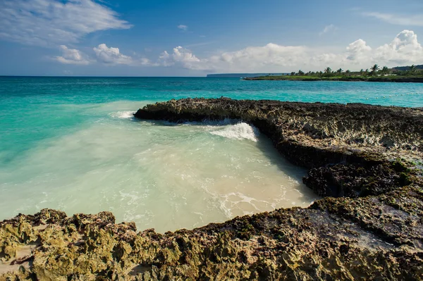 野生的加勒比海滩。多米尼加共和国。在多米尼加共和国的热带沙滩。宁静的度假村。在热带海滩，加勒比海上的棕榈树。在日落的时候在塞舌尔岛上海滩 — 图库照片