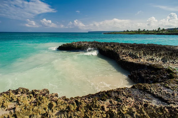 Praia selvagem do caribe. República Dominicana. praia de areia tropical na república dominicana. resort tranquilo. Palmeiras na praia tropical, Mar das Caraíbas. praia em horário de pôr do sol na ilha em Seychelles — Fotografia de Stock