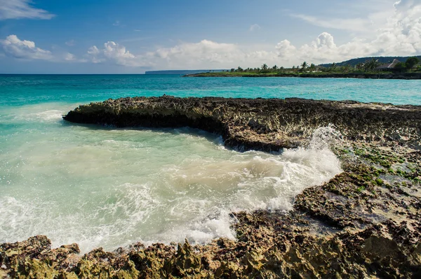 Wild Caribisch strand. Dominicaanse Republiek. tropisch strand, Dominicaanse Republiek. rustige resort. Palmbomen op de tropische strand, Caribische zee. strand op zonsondergang tijd op het eiland in Seychellen — Stockfoto